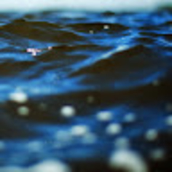 Meet your Posher, Mia - Picture 1 of 1